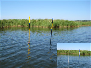 Farledsprickar 50 mm kardinal