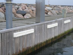 54053709_5705563508240002